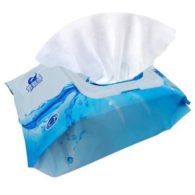 艺彩源清洁湿巾带盖100抽*4包 艺彩源清洁湿巾带盖100抽*4包通用型家庭装湿纸巾大包成人湿巾纸