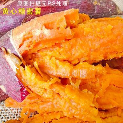 新鲜西瓜红红薯农家沙地板栗糖蜜薯甜心番薯山芋小红薯地瓜香3斤