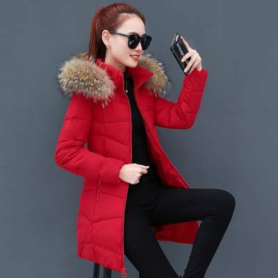 女士中长款加厚韩版修身羽绒棉服 休闲运动套装女秋2019新款韩版时尚印花宽松装洋气跑步服两件套潮